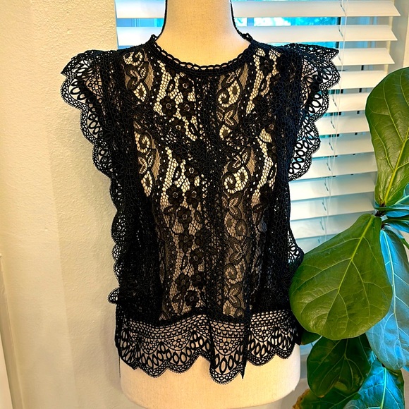Zara Lace Top - Picture 1 of 6
